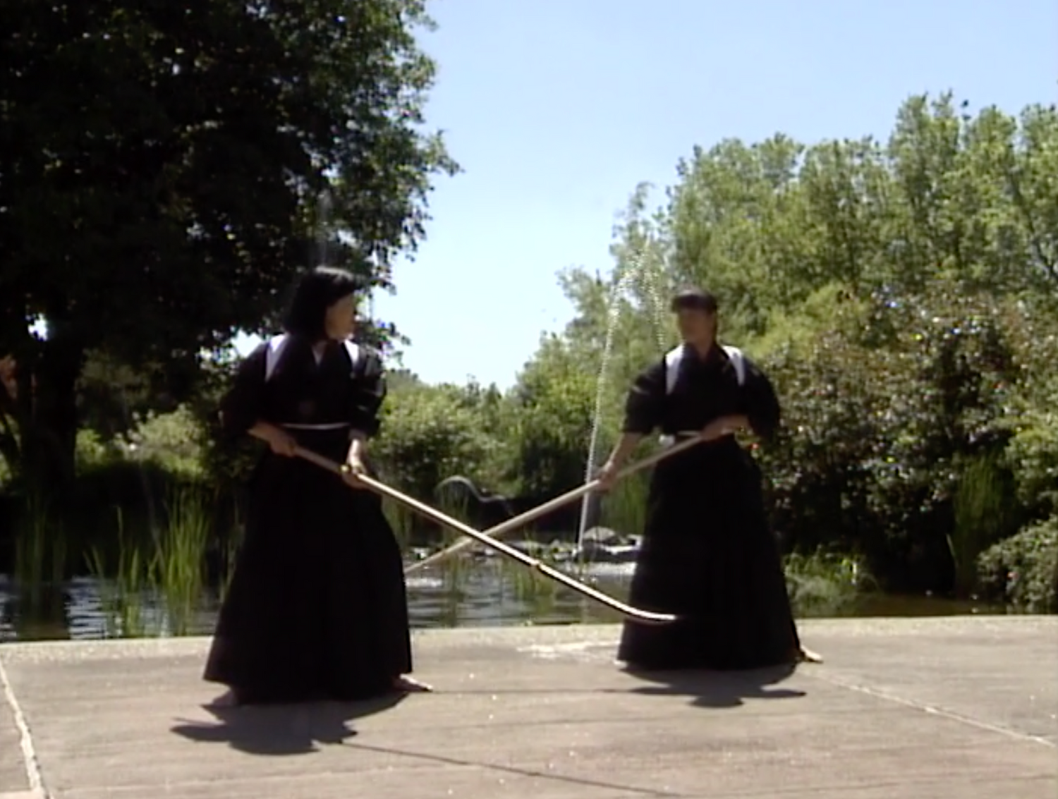 Naginata: A Link to the Past DVD by Helen Nakano