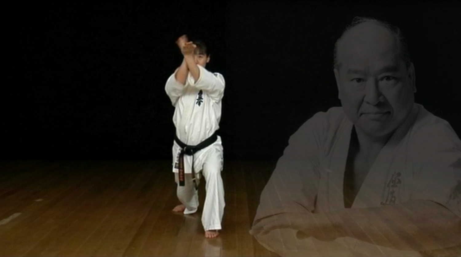 Mas Oyama's Tradition of Kyokushin Karate Kata DVD (Preowned)