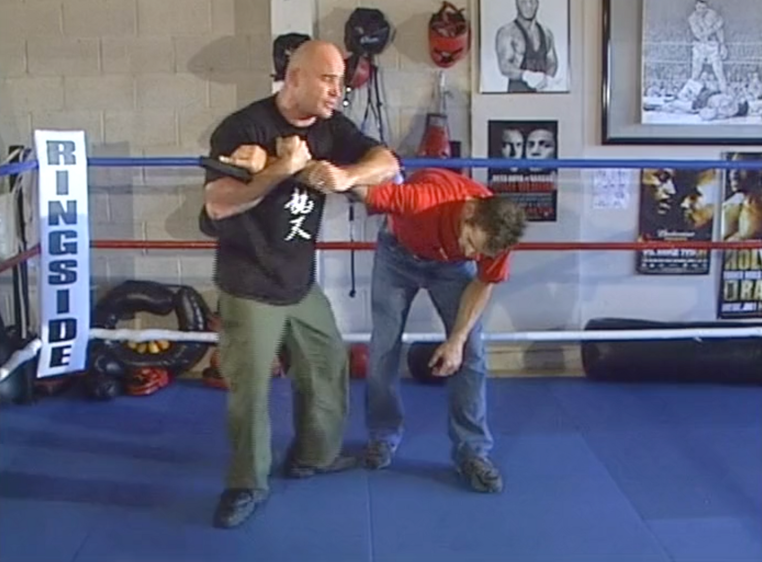 Lethal Streetfighting DVD by Bas Rutten