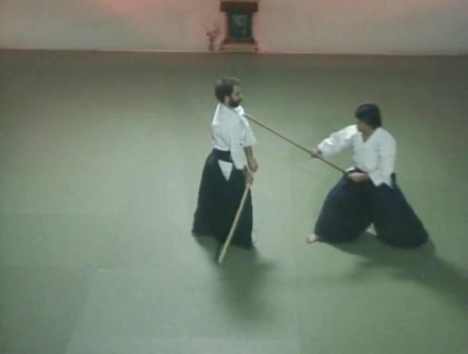 Irimi Buki Koshi Za Aikido DVD by Hiroshi Ikeda (Preowned)