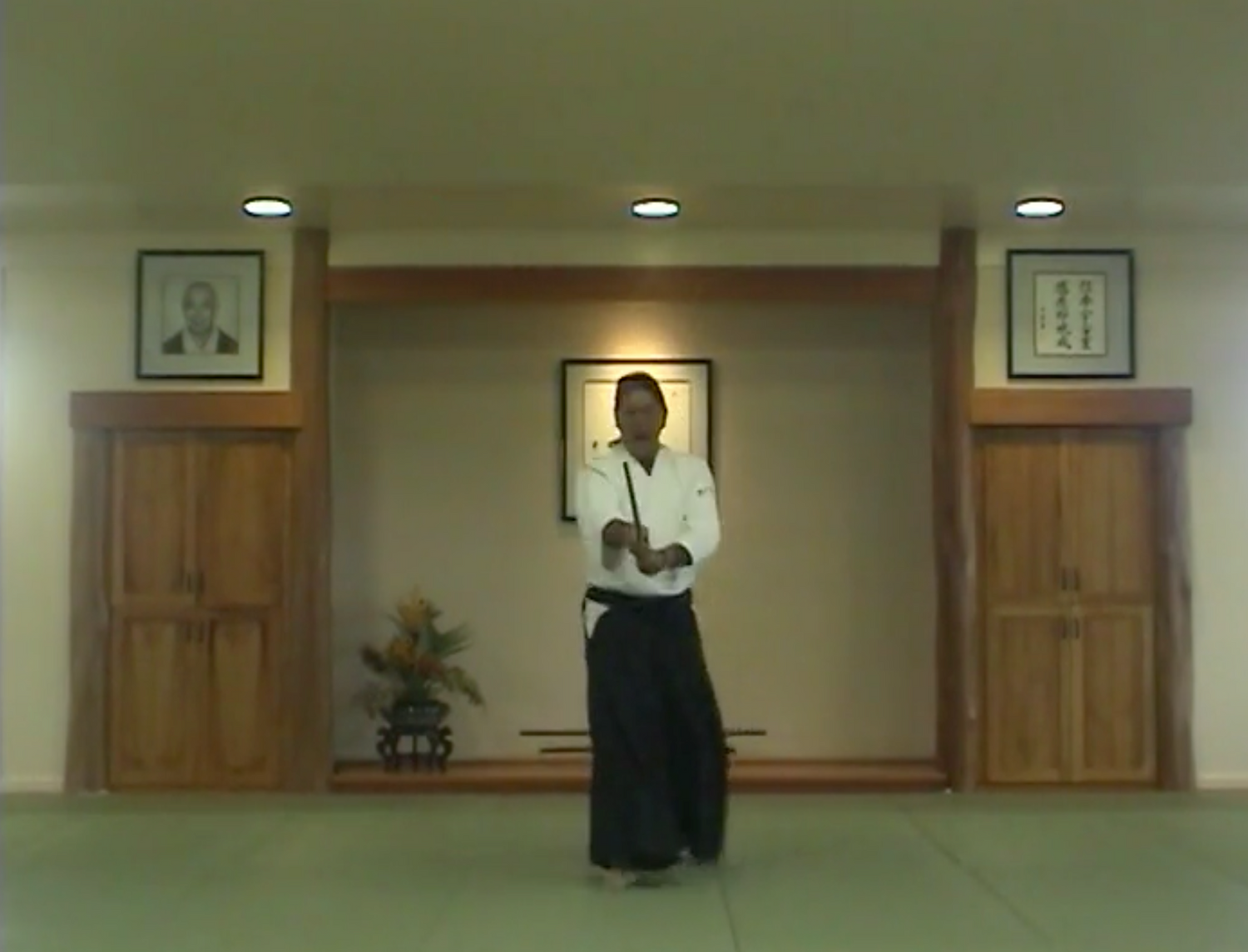 Training with Bokken DVD with Chris Curtis (Preowned)