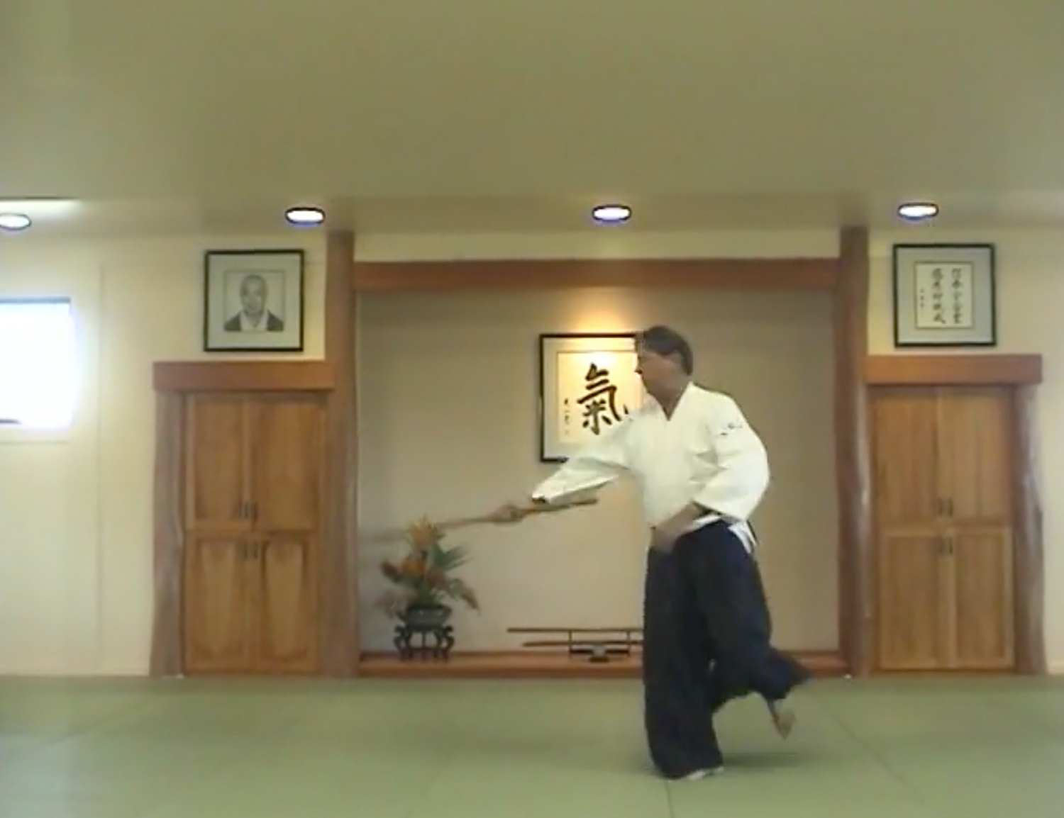 Training with Bokken DVD with Chris Curtis (Preowned)