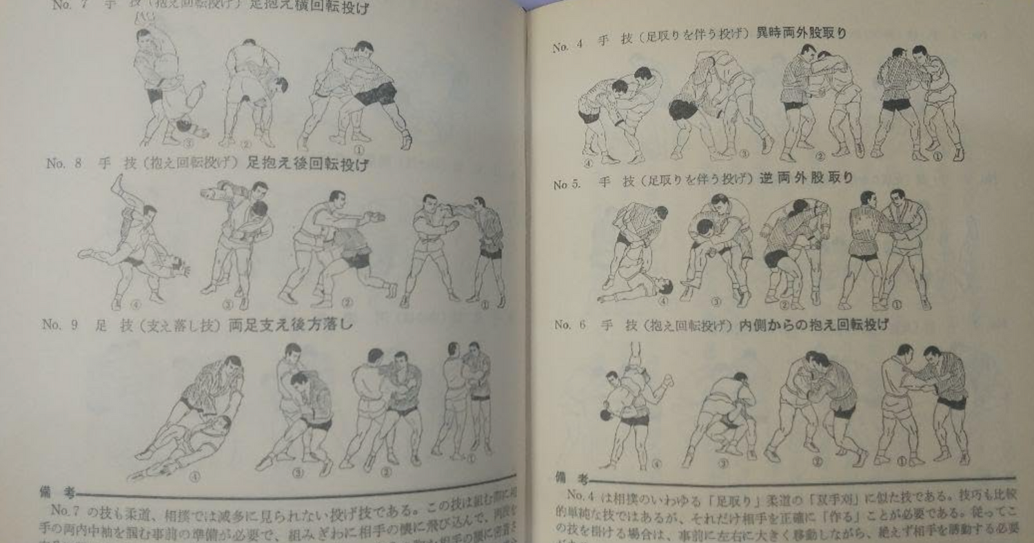 Soviet Martial Arts: Sambo Techniques & Training Book (Hardcover) (Preowned)