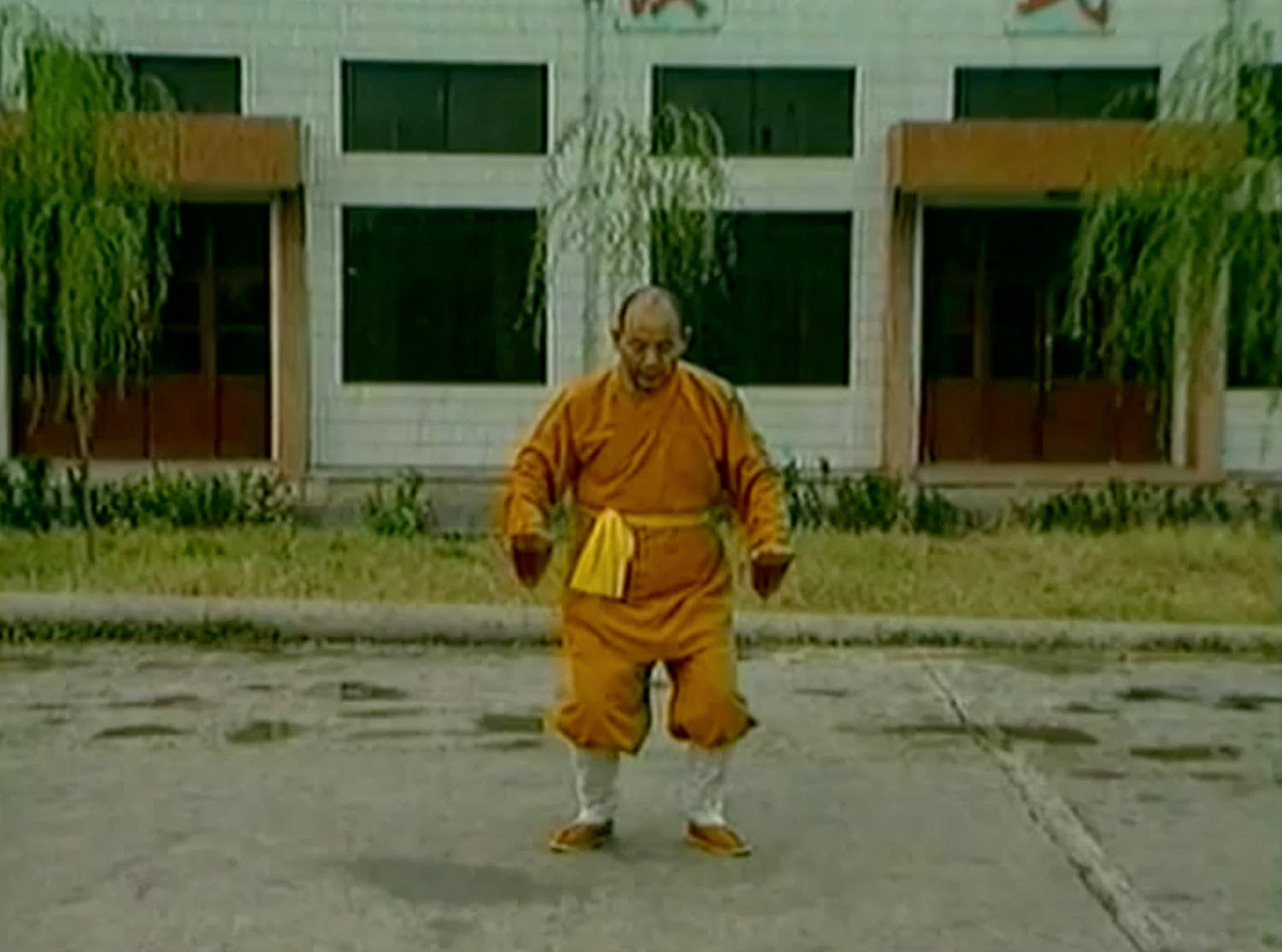 Shaolin Muscle Tendon Change Classic DVD by Shi De Qian