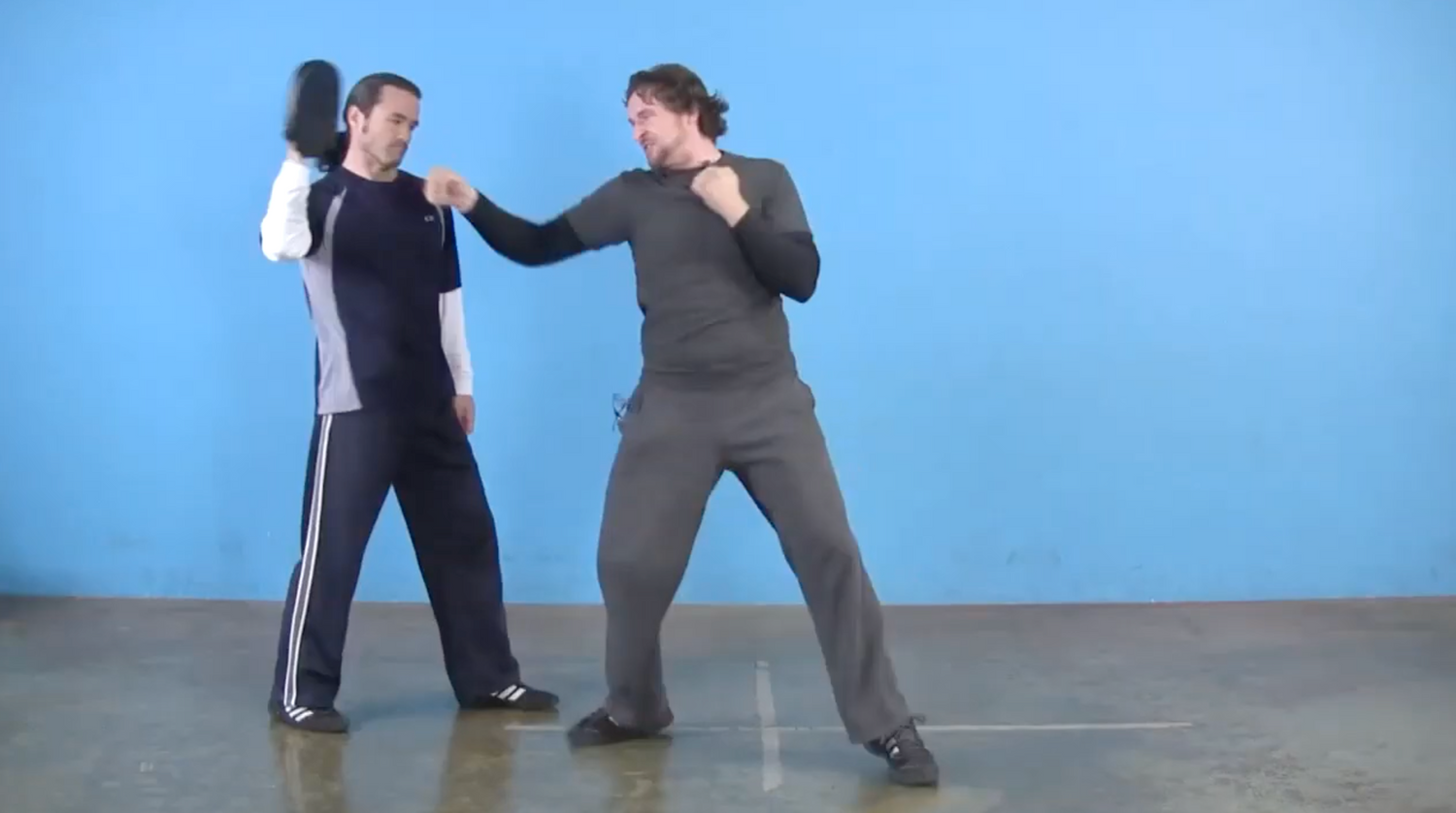 Jeet Kune Do de Bruce Lee, curso completo de estudio en casa, 28 DVD