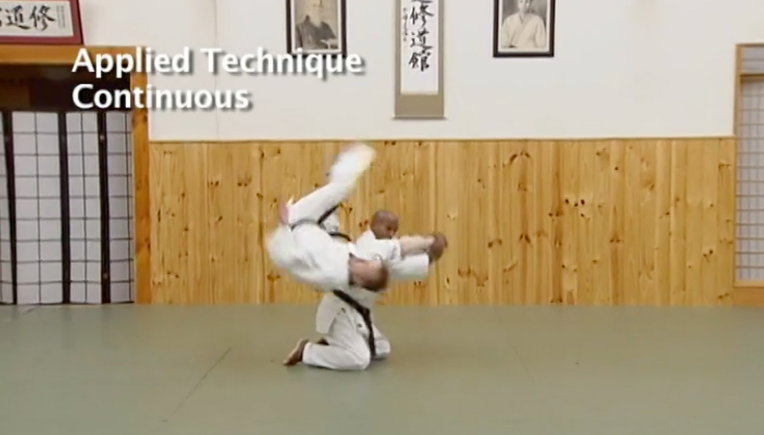 Aikido: Practice & Purpose by Joe Thambu (On Demand)