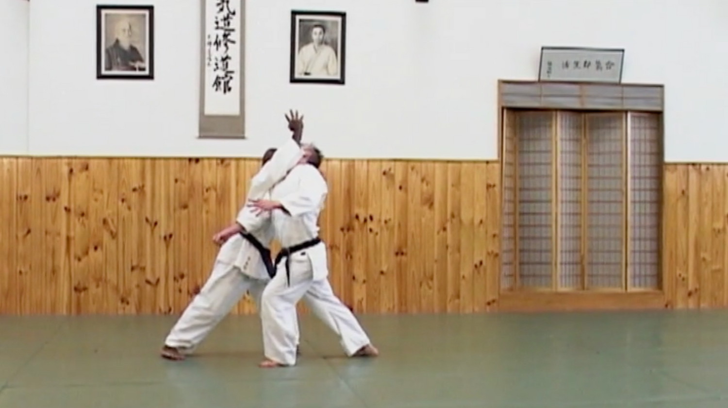 Aikido: Dynamic Variations DVD by Joe Thambu