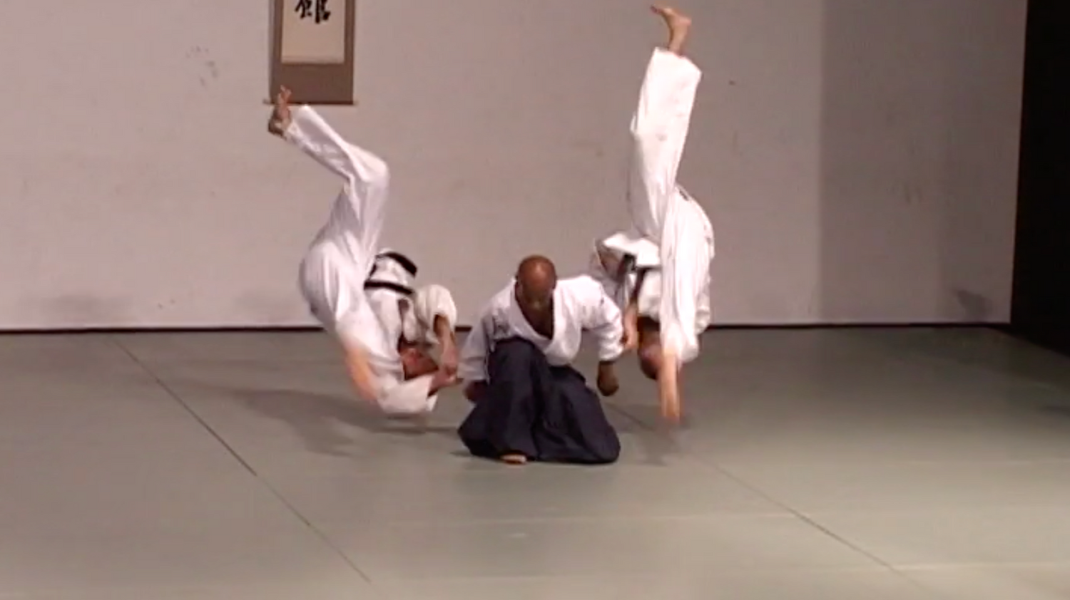 Aikido: Dynamic Variations DVD by Joe Thambu