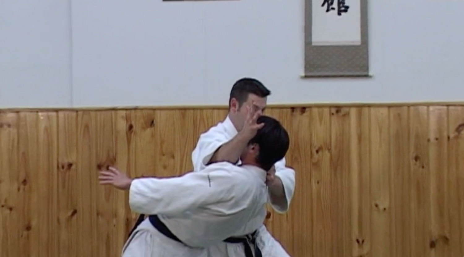 Self Defense: The Aiki Concept DVD by Joe Thambu