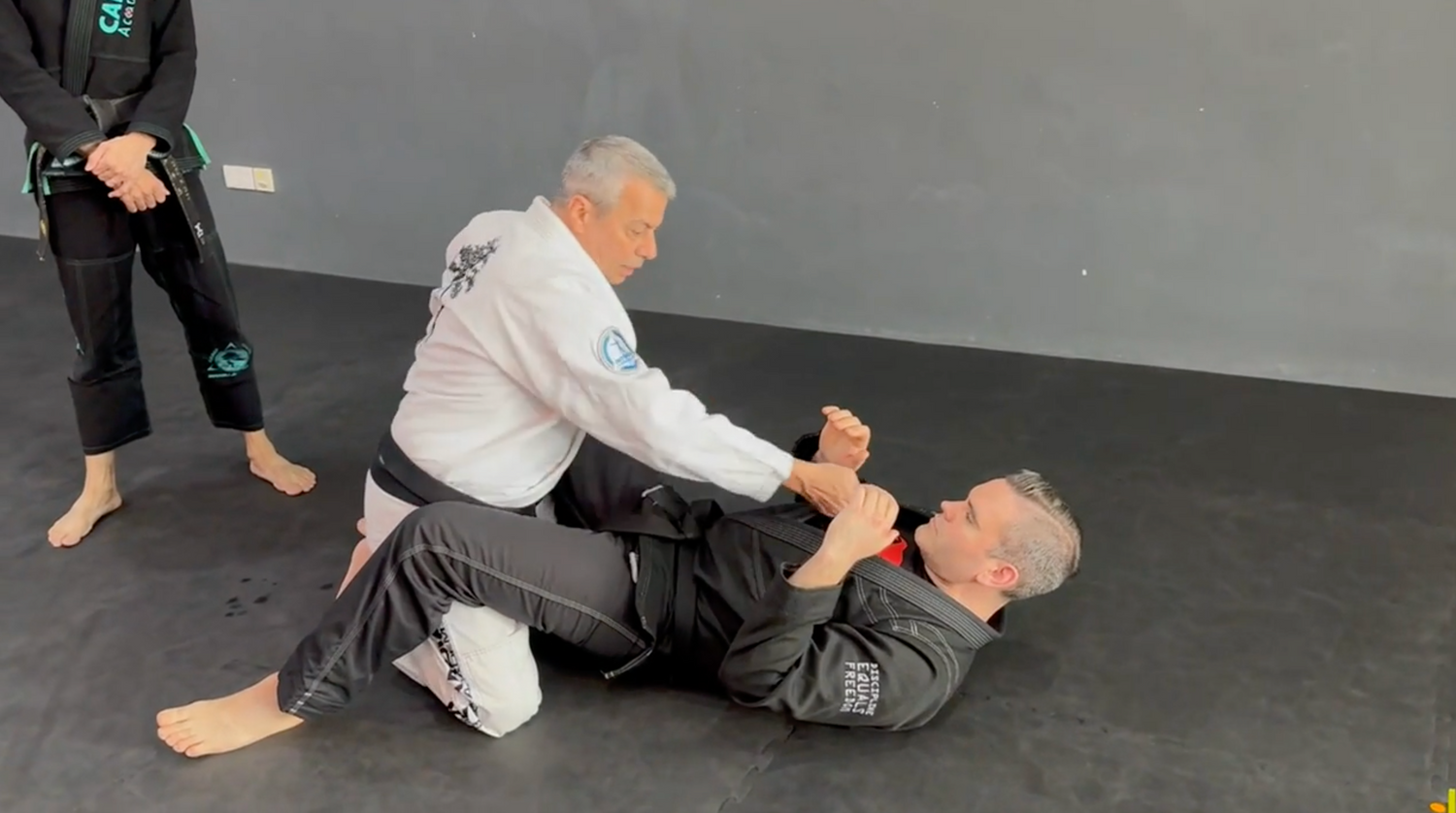 Octopus Combatives DVD with Avi Nardia