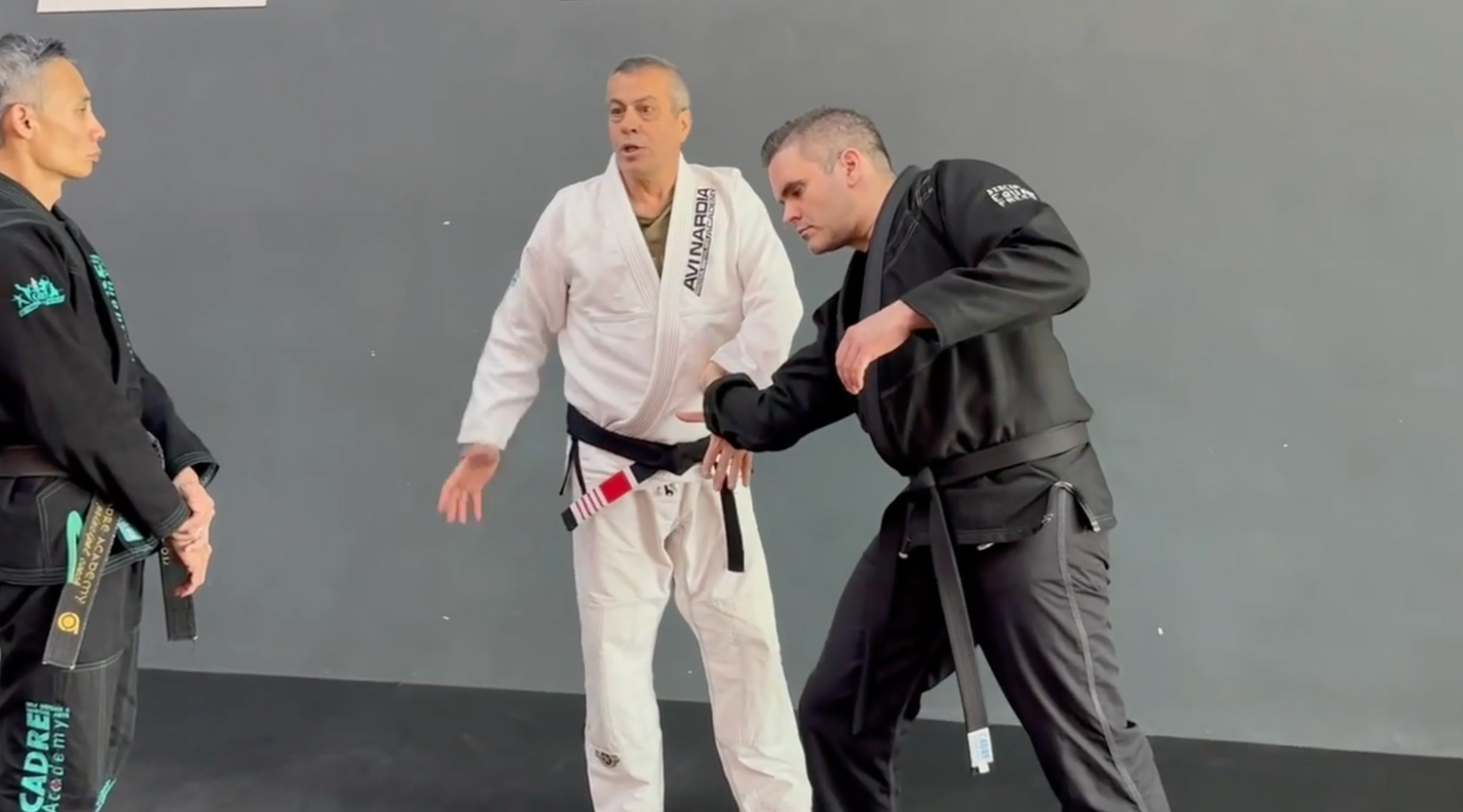 Octopus Combatives DVD with Avi Nardia