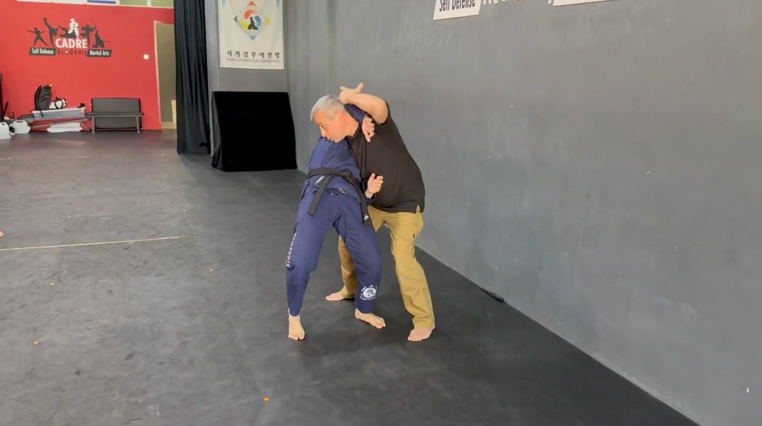 Octopus Combatives DVD with Avi Nardia