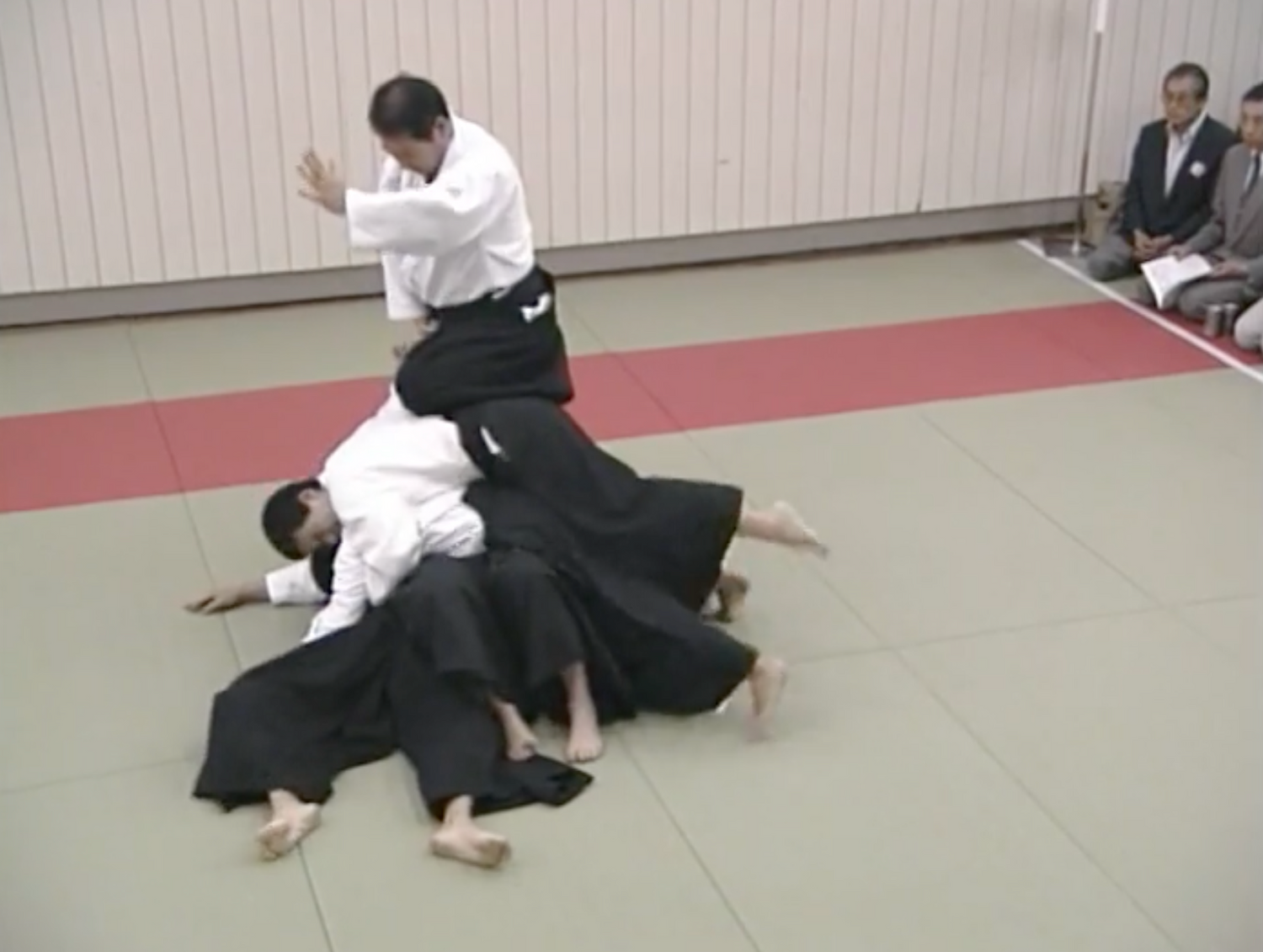 50th Daito Ryu Aiki Budo Demonstration DVD