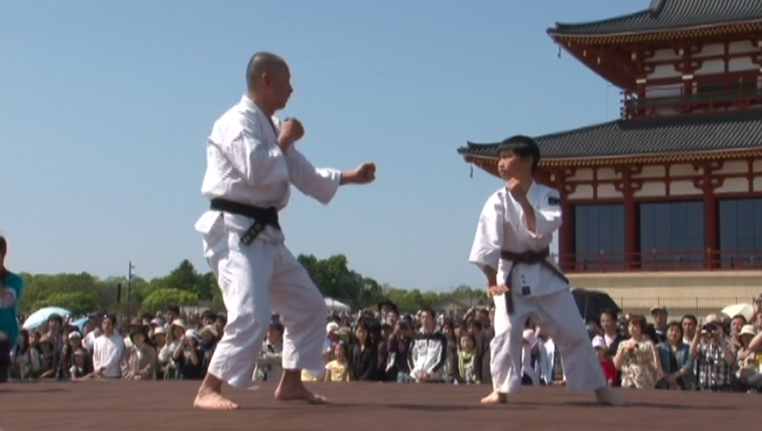 Shorinji Kempo 1300th Anniversary of the Relocation to Heijo: Shaolin Temple Kempo Group Performance DVD (Preowned)