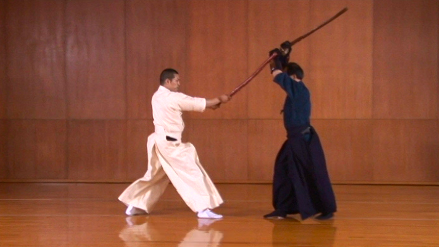 Learning Yagyu Shinkage Ryu DVD by Kato Isao