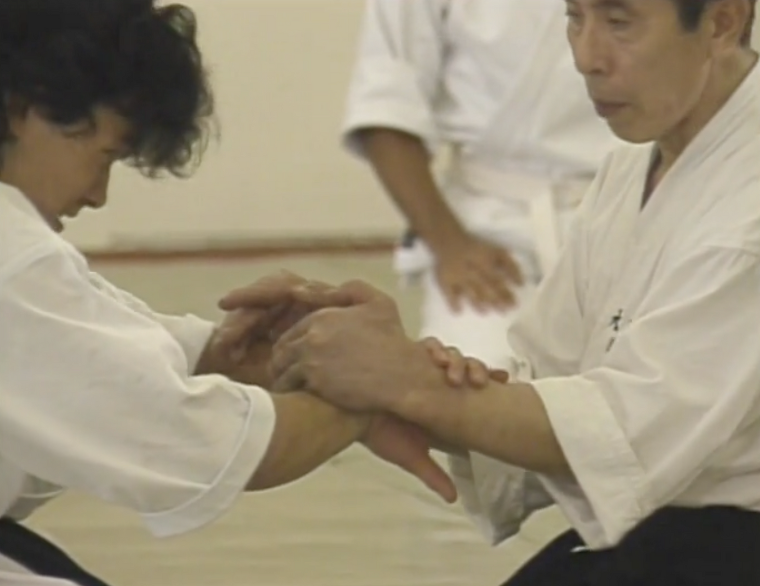 Daito Ryu Roppokai Hawaii Seminar Vol 2 DVD by Seigo Okamoto