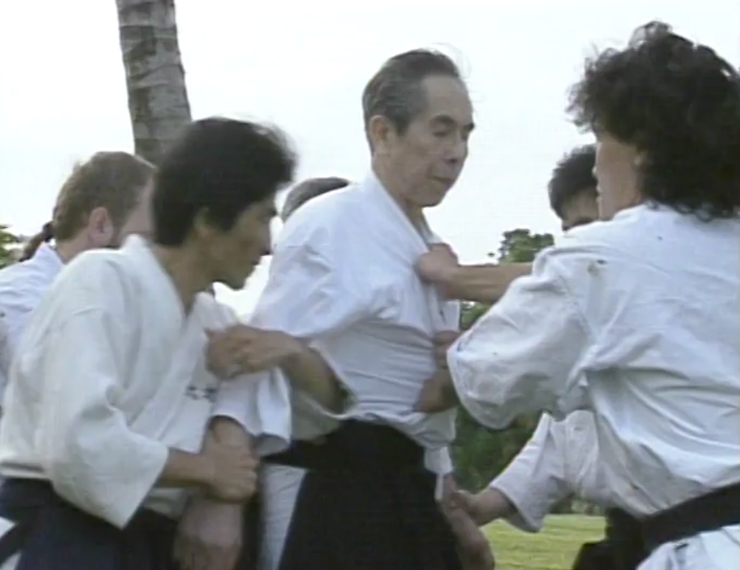 Daito Ryu Roppokai Hawaii Seminar Vol 2 DVD by Seigo Okamoto