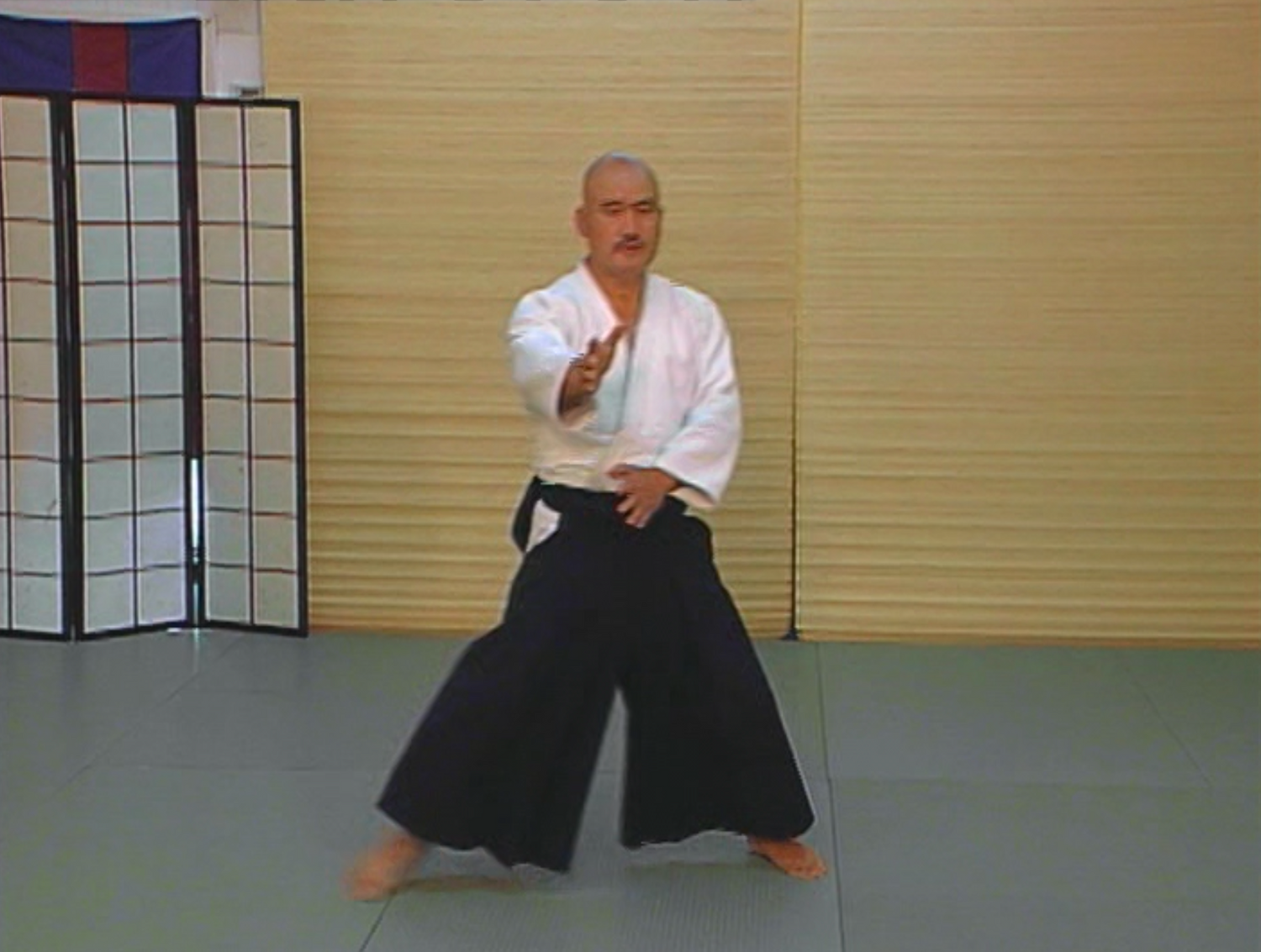 Budo Ashisabaki (Footwork) DVD with Toshishiro Obata