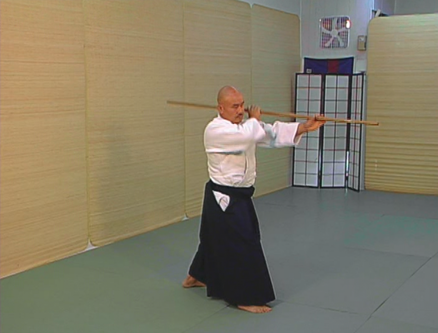 Bojutsu Tanrendo DVD by Toshishiro Obata