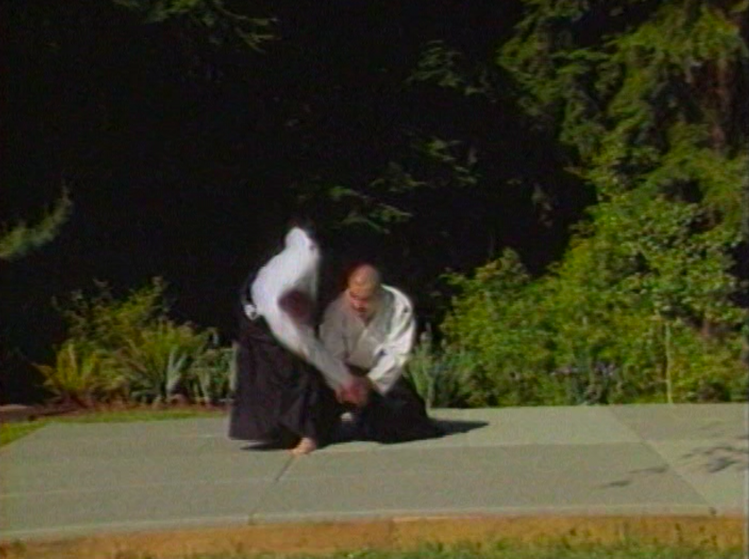 Samurai Aikijutsu DVD by Toshishiro Obata