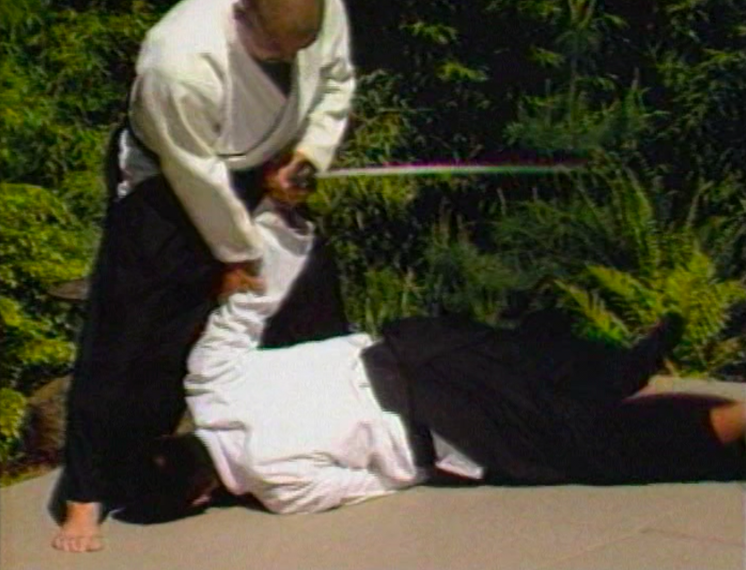 Samurai Aikijutsu DVD by Toshishiro Obata