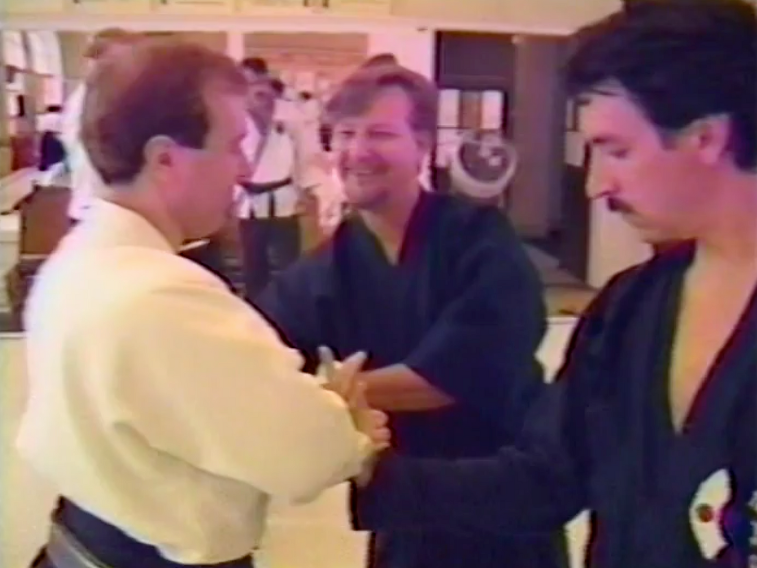 Yanagi Ryu Aikijujutsu Seminar at Bushido-Kai DVD with Don Angier (Preowned)