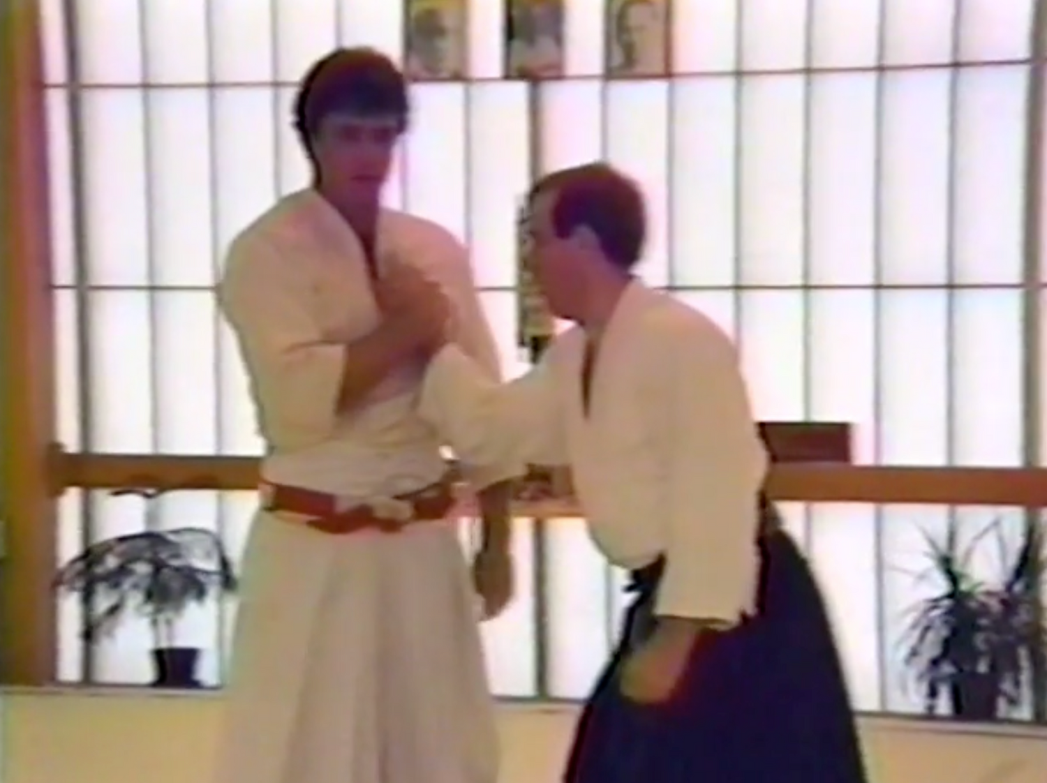 Yanagi Ryu Aikijujutsu Seminar at Bushido-Kai DVD with Don Angier (Preowned)