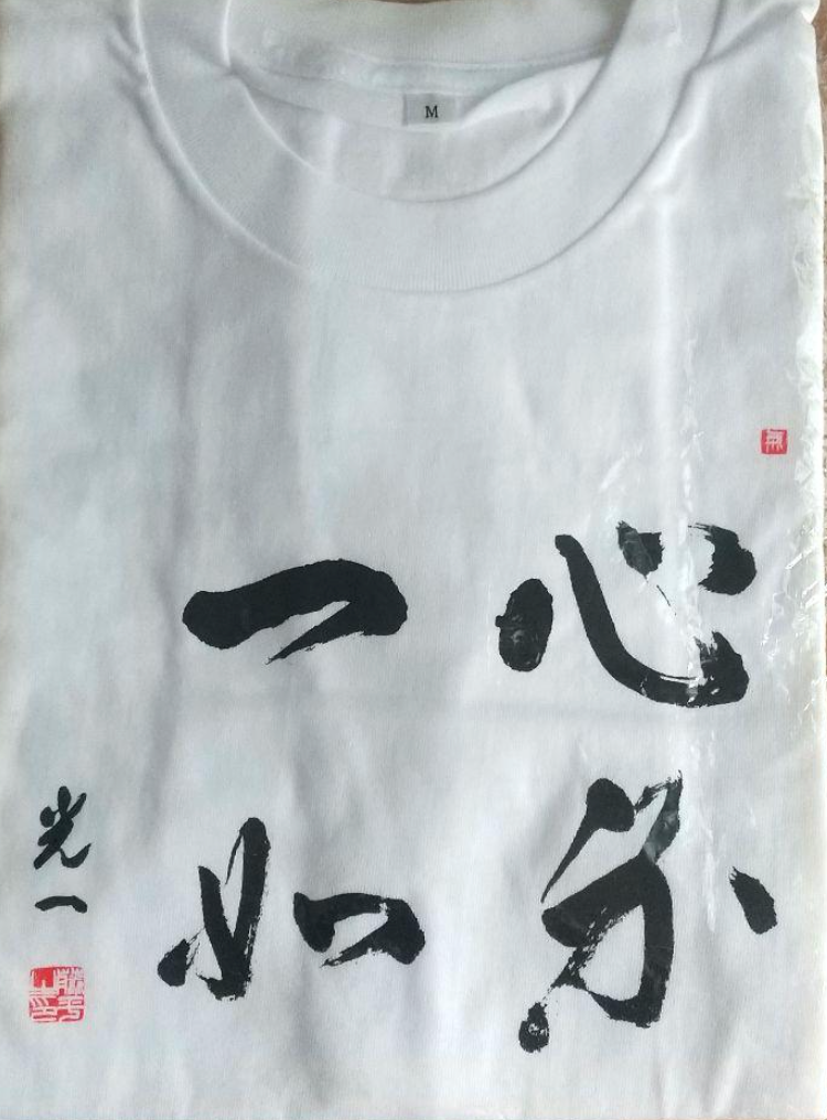 Shin Shin Toitsu Aikido T-Shirt (Size Medium)