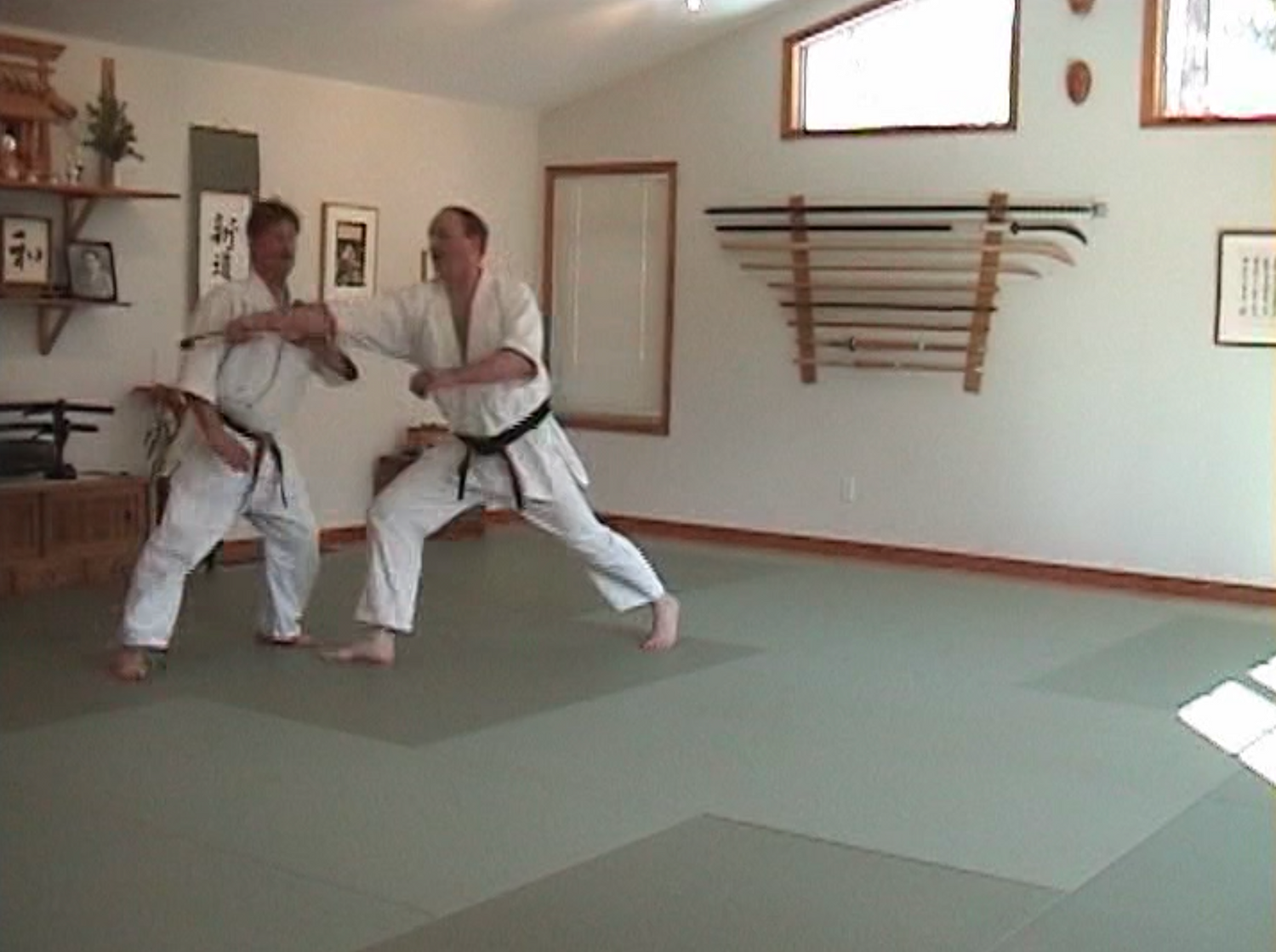 JAA/USA Tomiki Aikido Kyu Grade Syllabus 5 DVD Set by Dave Nettles & Dave Mulholland (Preowned)