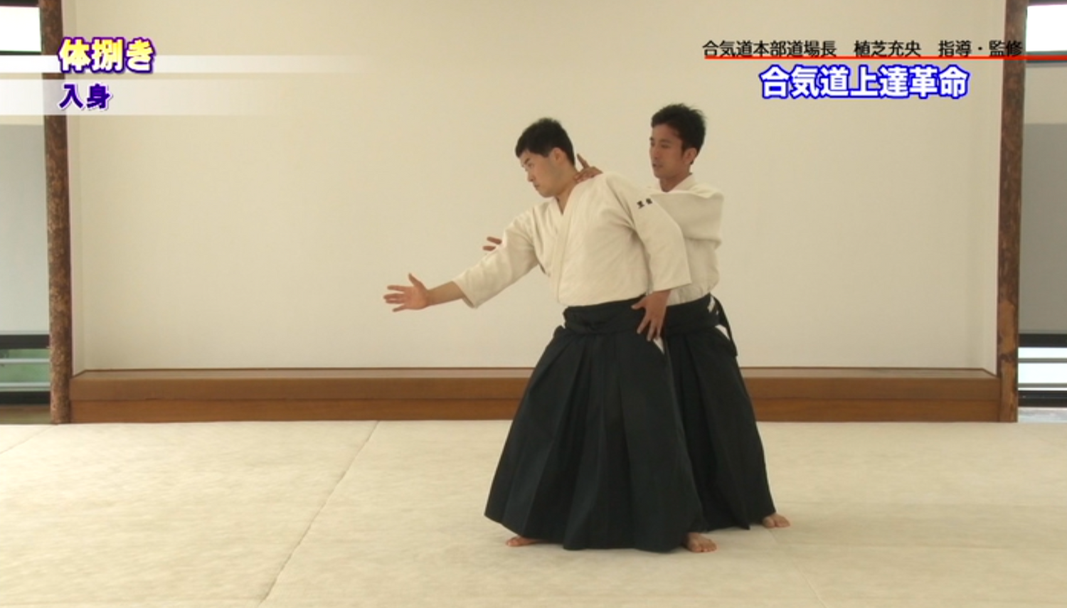 Aikido Evolution: Essential Training Methods 2 DVD Set by Mitsuteru Ueshiba (Preowned)