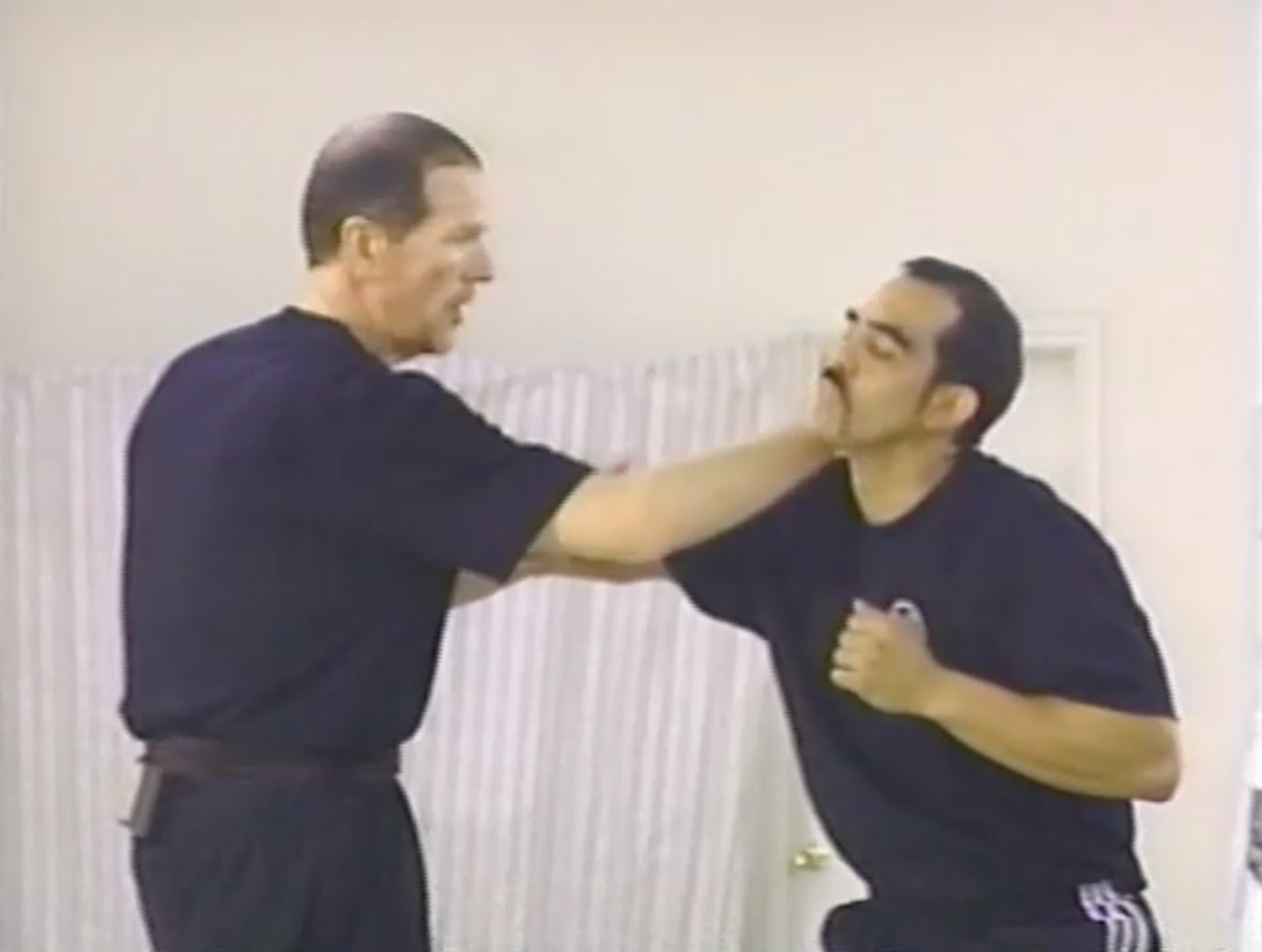 Juego de DVD Combat Wing Chun 4 de Alan Lamb