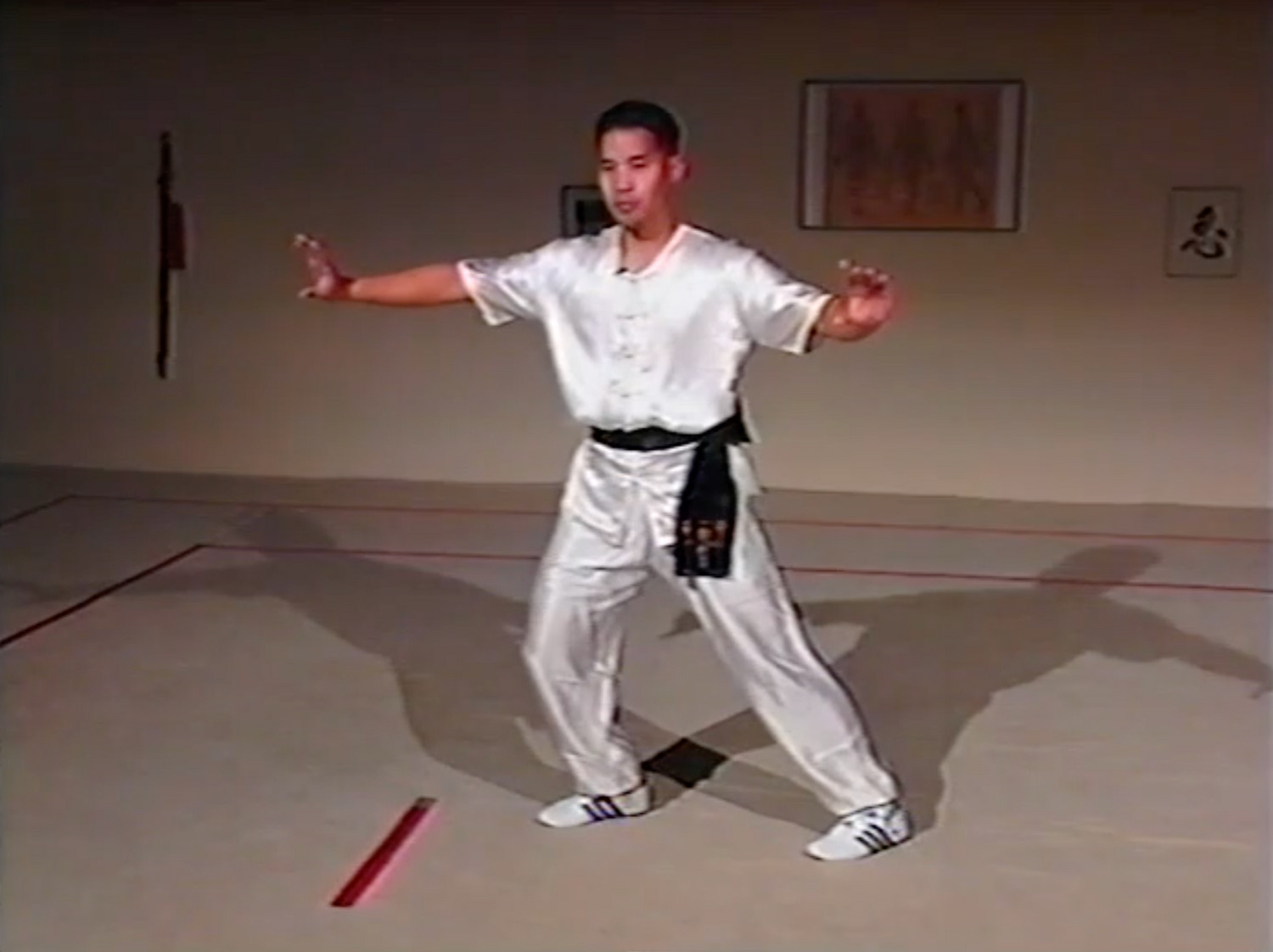 Juego de DVD Combat Tai Chi 6 de Mark Cheng