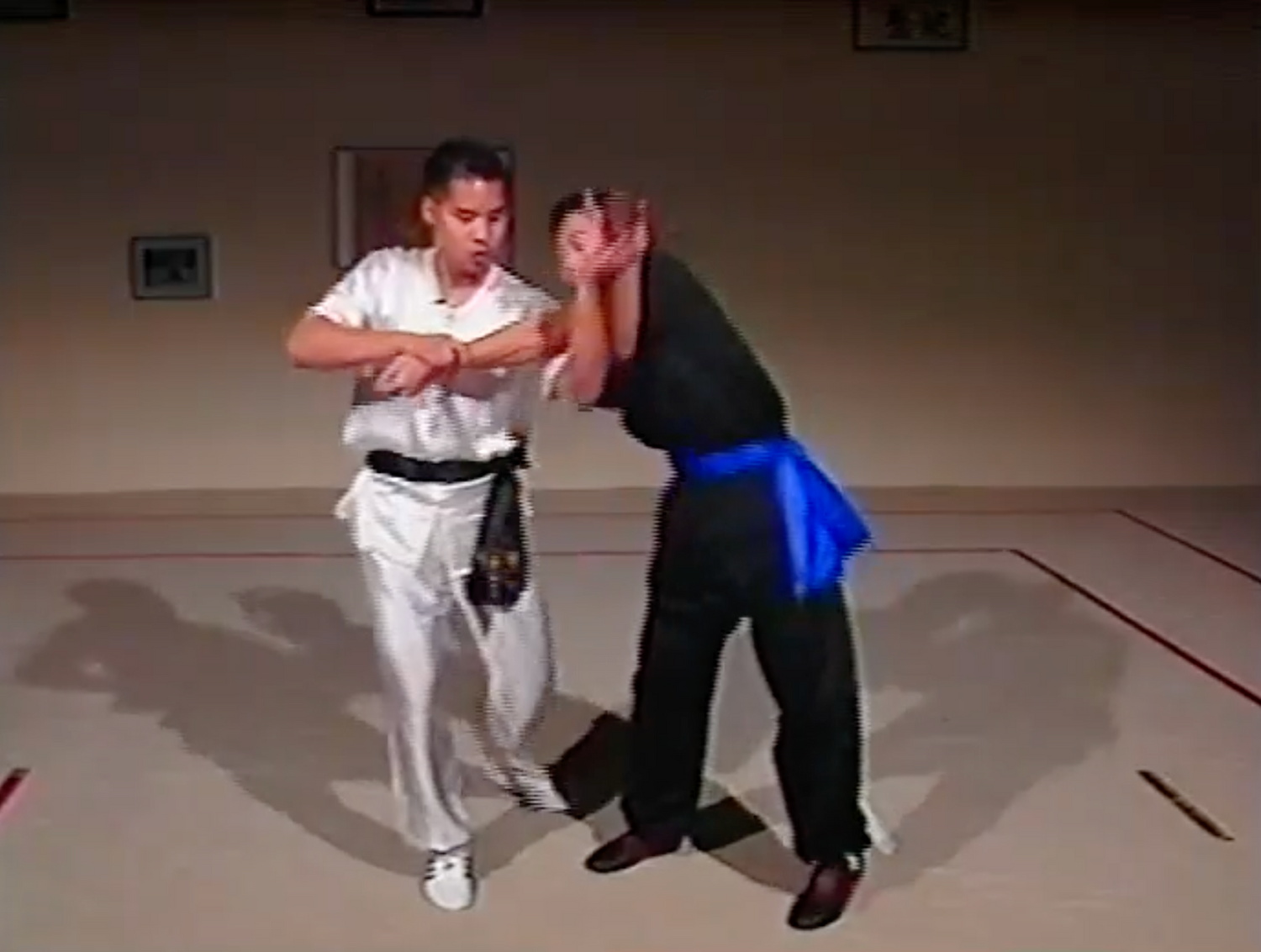 Juego de DVD Combat Tai Chi 6 de Mark Cheng