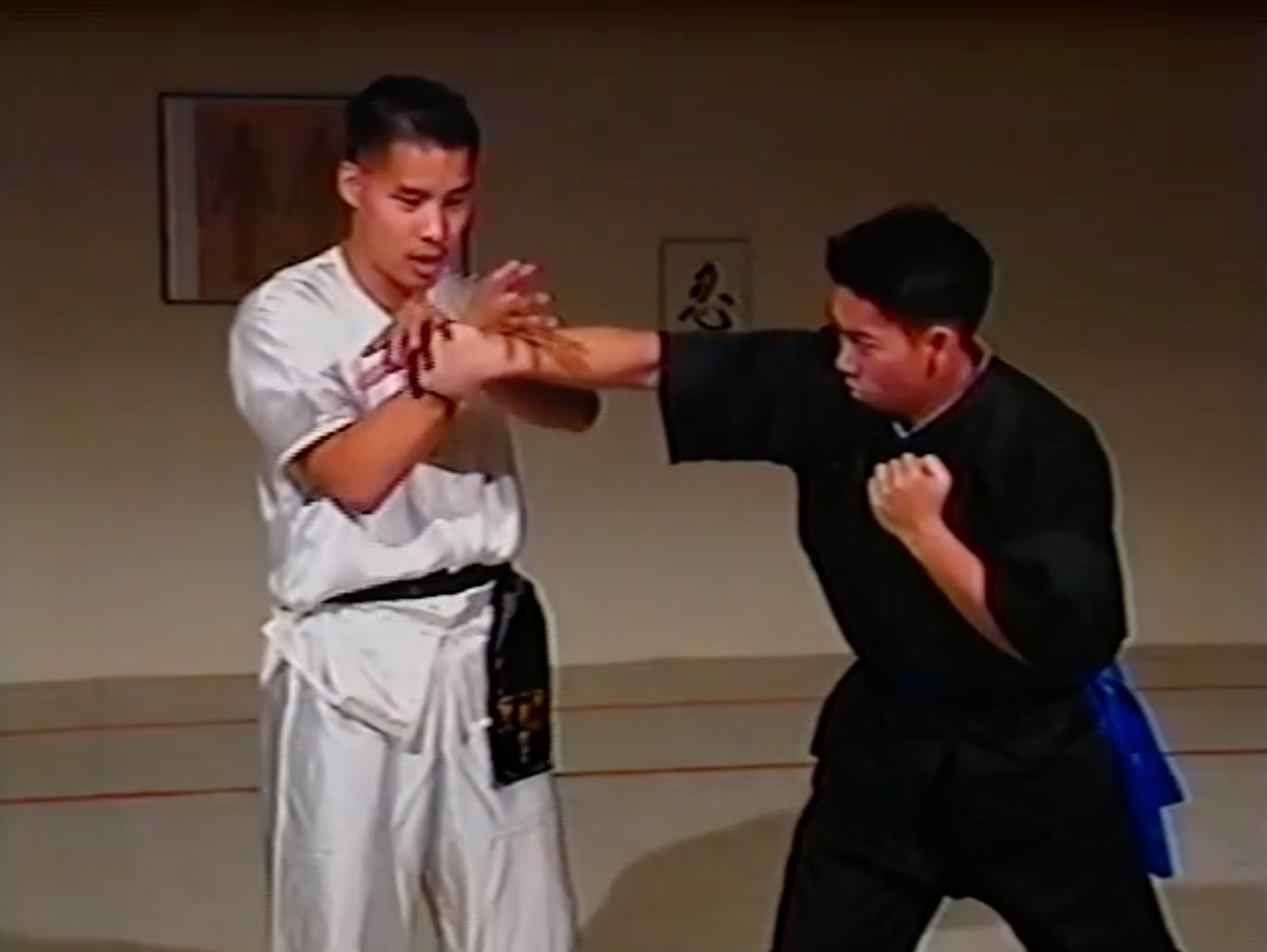 Juego de DVD Combat Tai Chi 6 de Mark Cheng