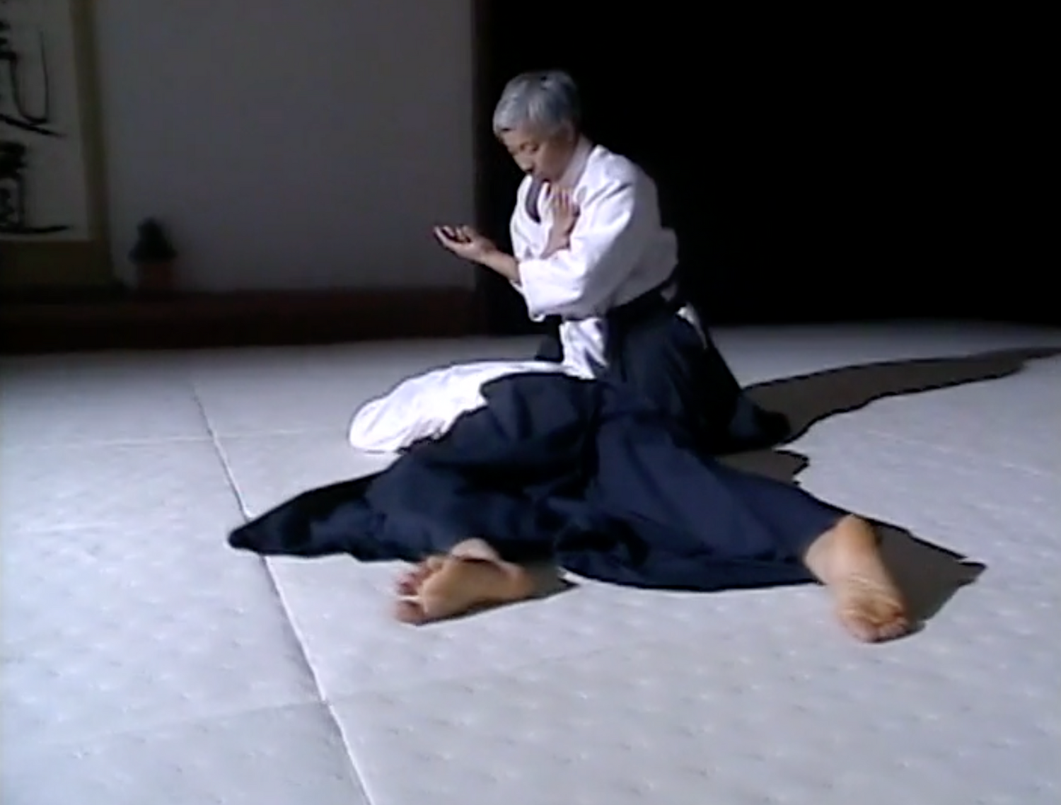 Principles of Aikido DVD with Moriteru Ueshiba (Preowned)