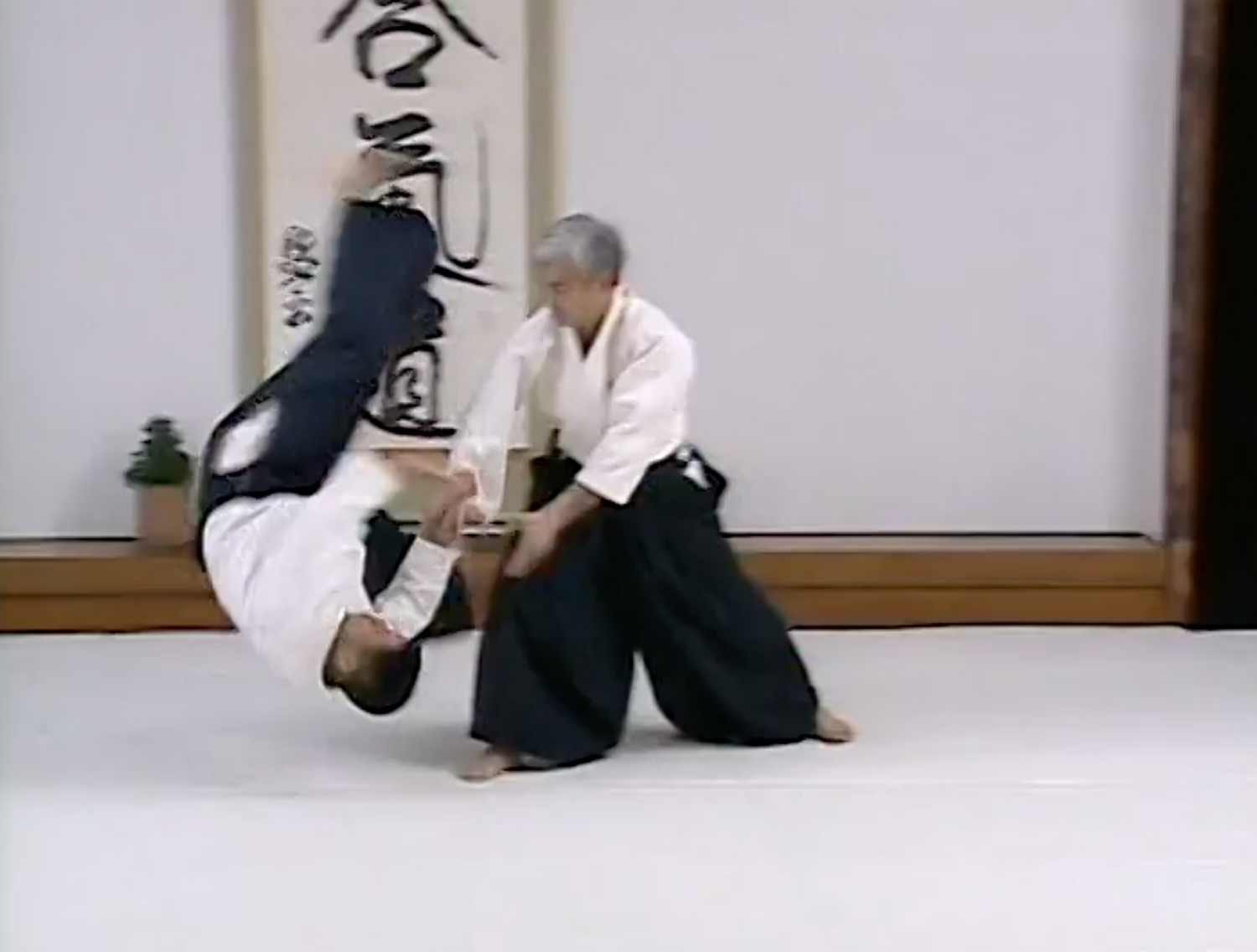 Principles of Aikido DVD with Moriteru Ueshiba (Preowned)