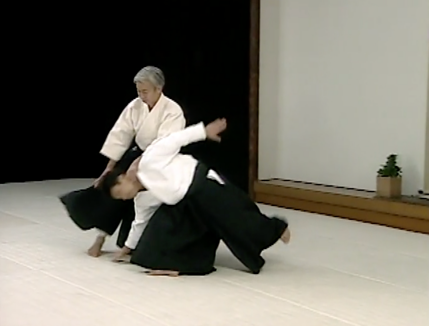 Principles of Aikido DVD with Moriteru Ueshiba (Preowned)