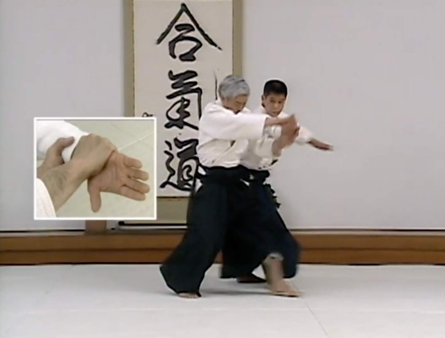 Principles of Aikido DVD with Moriteru Ueshiba (Preowned)