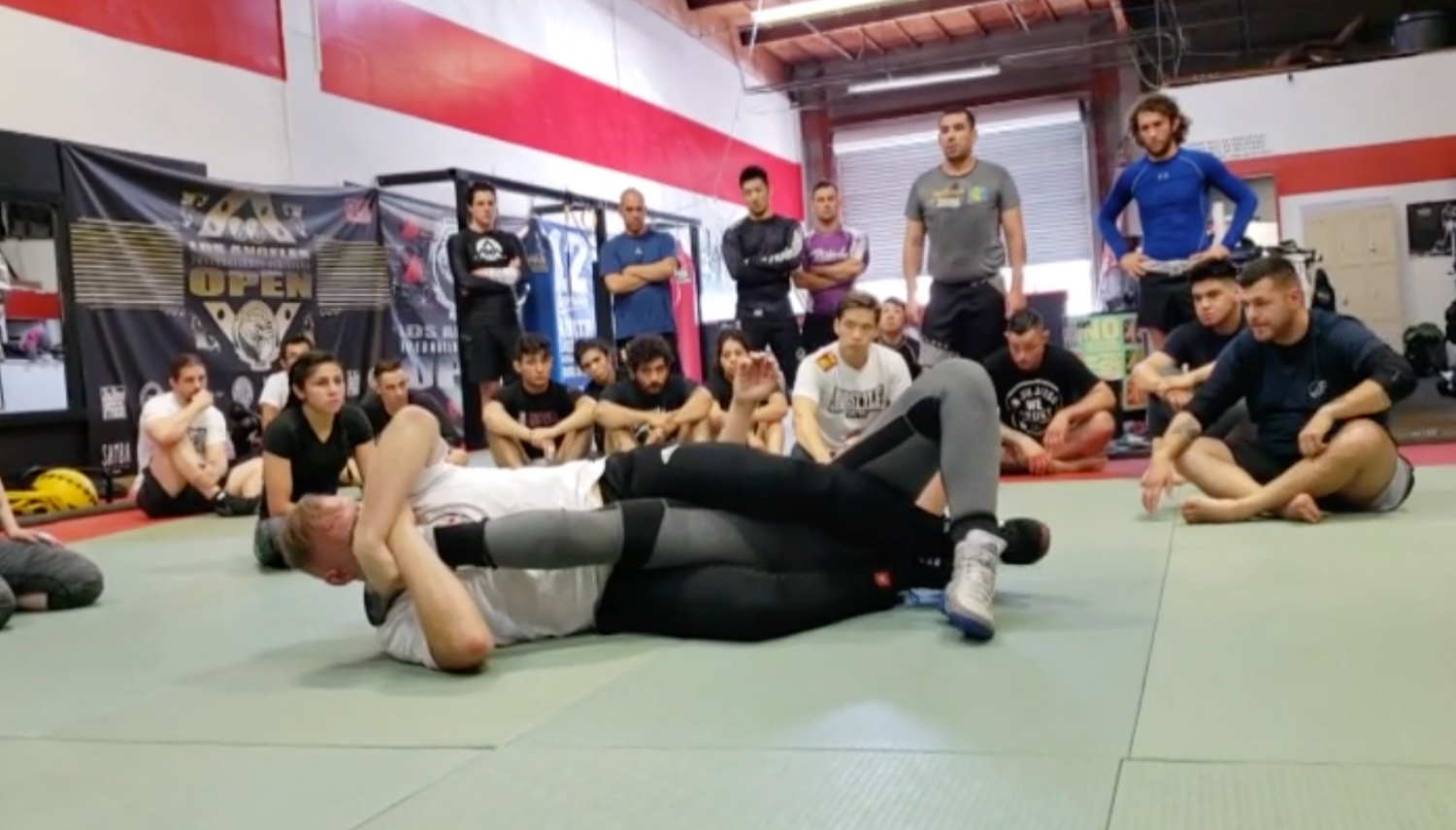 Break a Leg: Leg Lock Seminar by Josh Barnett (On Demand)