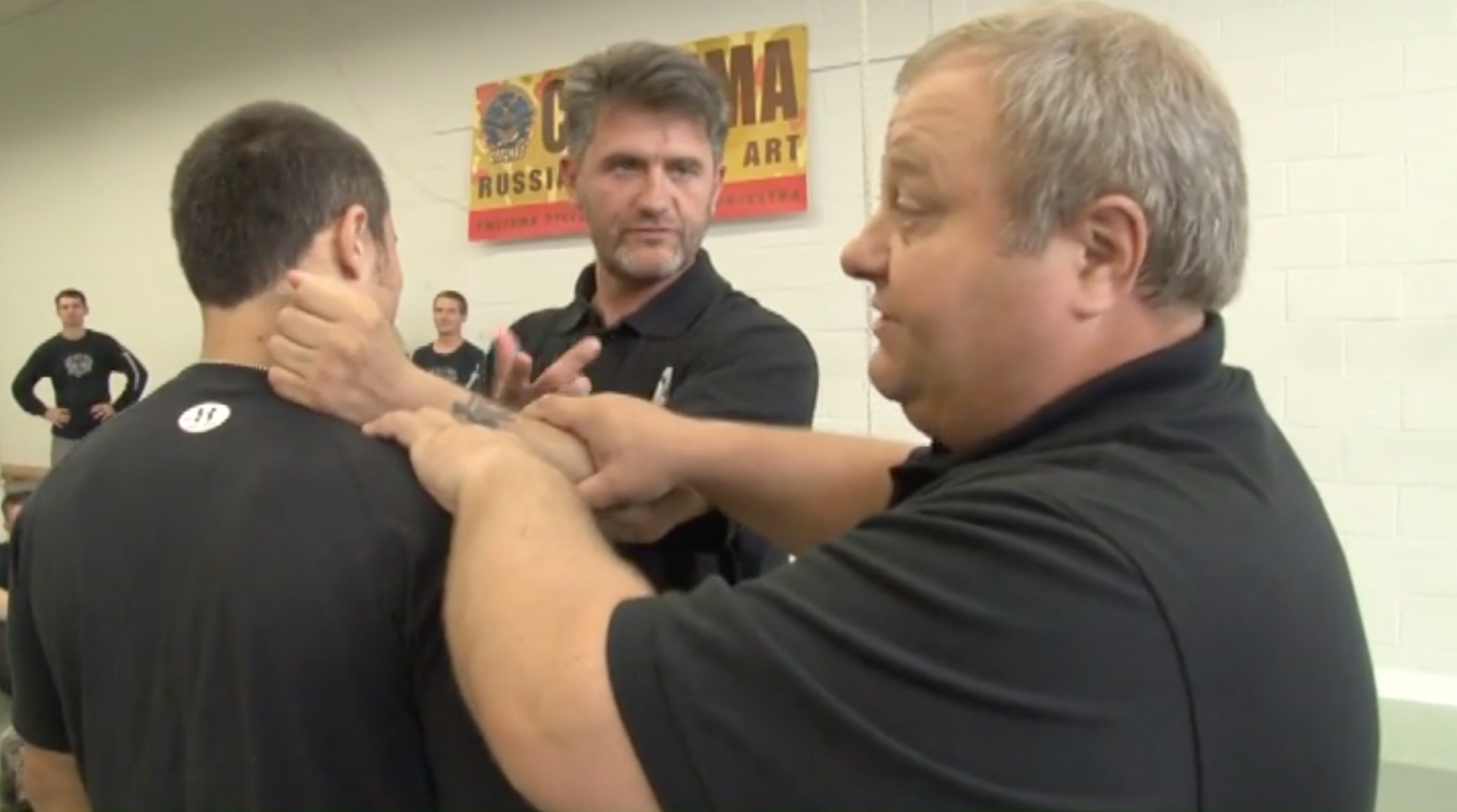 Systema Lessons 2010 DVD with Mikhail Ryabko & Konstantin Komarov