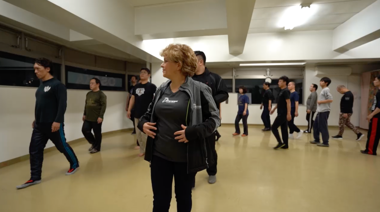 DVD Systema Breath & Body LITE de Valerie Vasiliev.