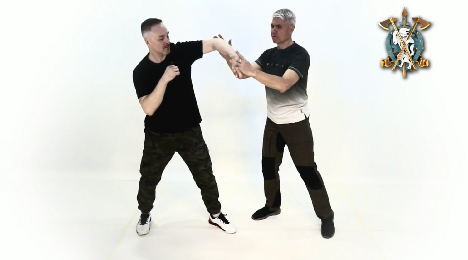 RMA Systema SV Biomechanics in Combat DVD 1 with Dmitry Skogorev