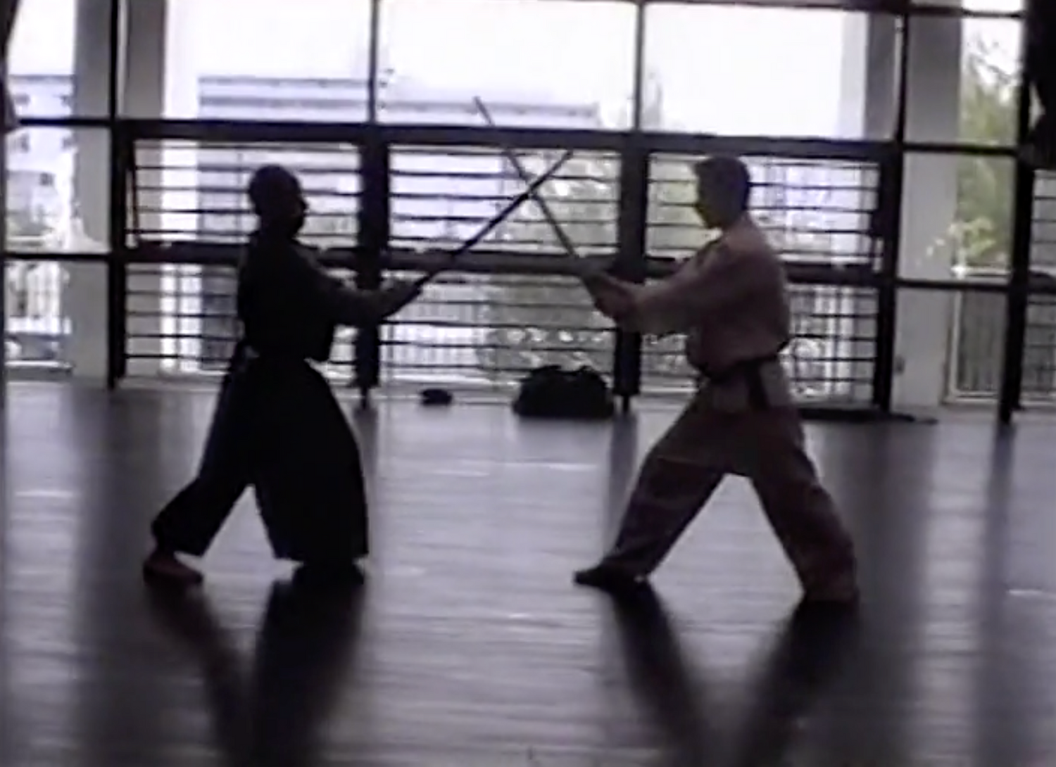 Tenshin Ryu Aikikenpo DVD by Hisao Kishi (Preowned)