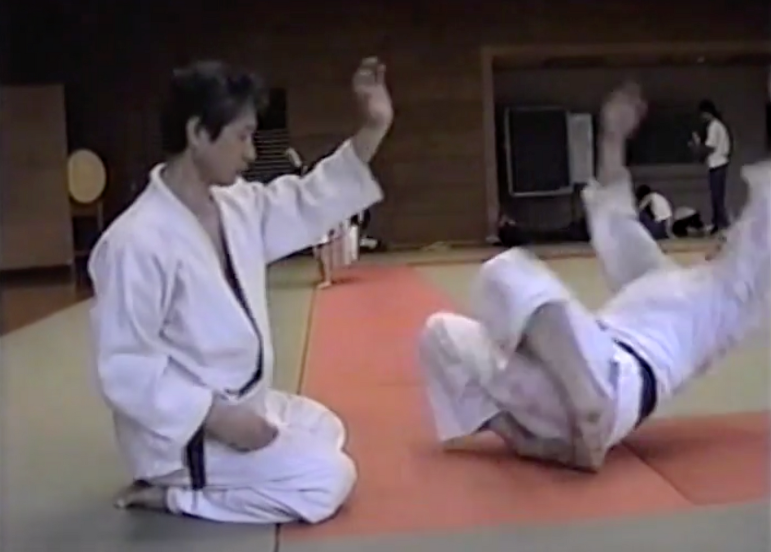 Tenshin Ryu Aikikenpo DVD by Hisao Kishi (Preowned)