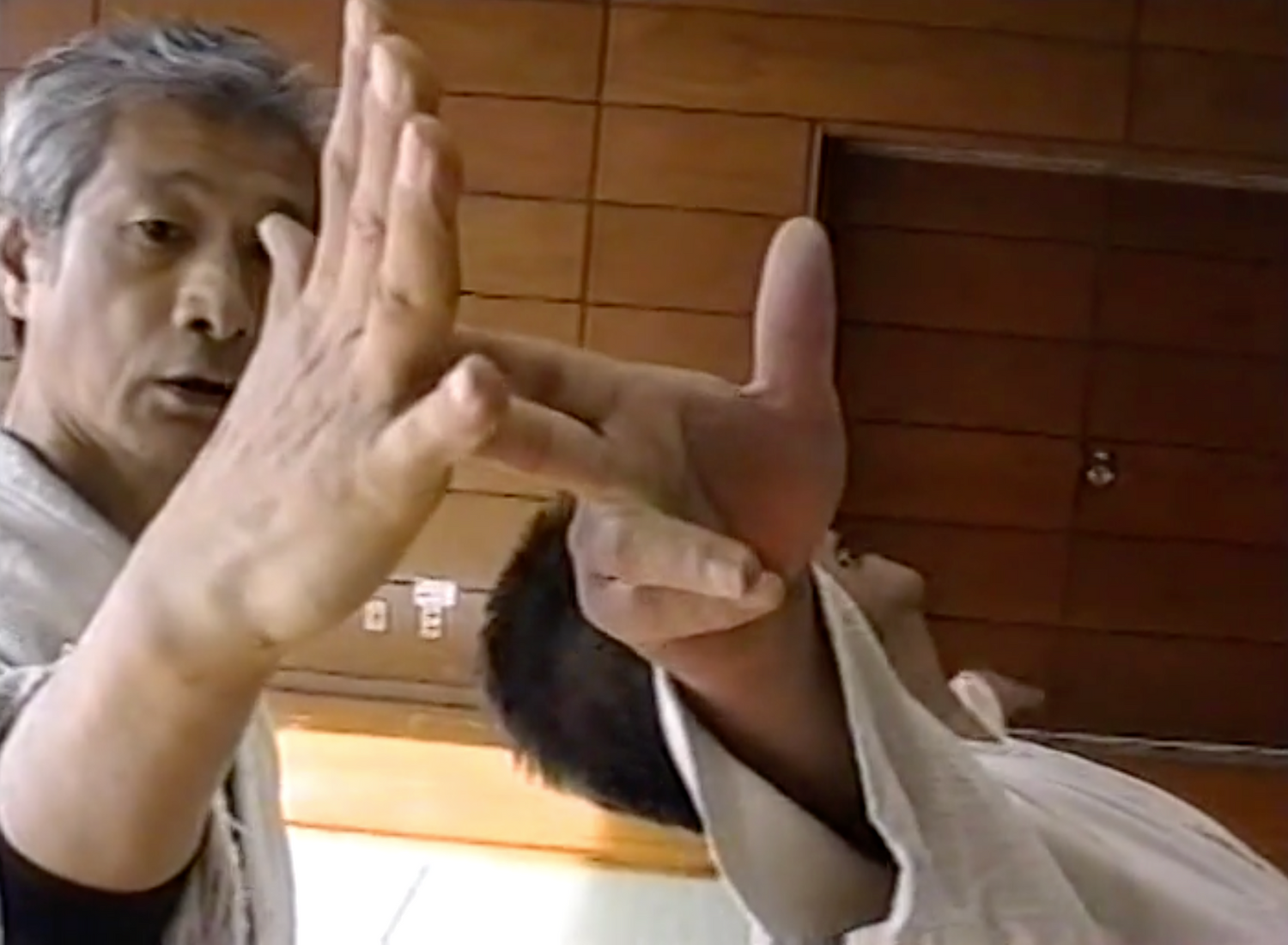Tenshin Ryu Aikikenpo DVD by Hisao Kishi (Preowned)