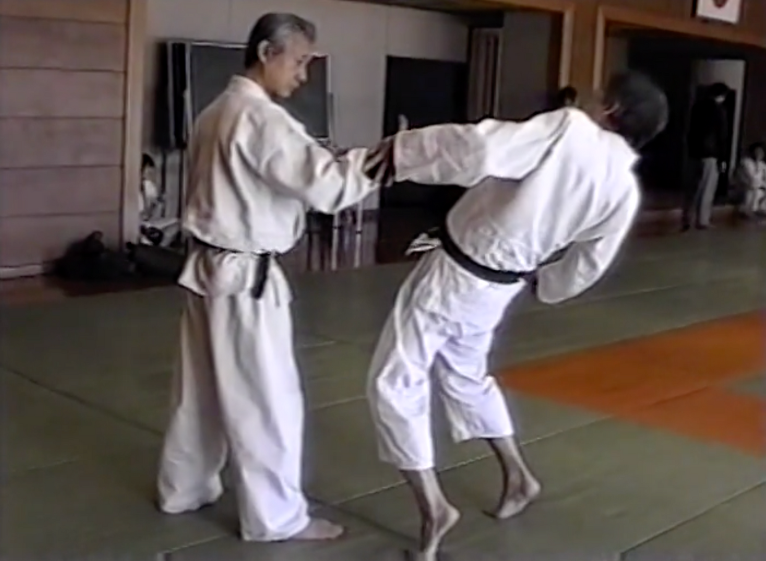 Tenshin Ryu Aikikenpo DVD by Hisao Kishi (Preowned)