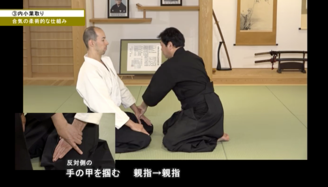 Aiki from Kodo Horikawa #1 Basic Techniques in Aiki DVD by Tadashi Nomoto