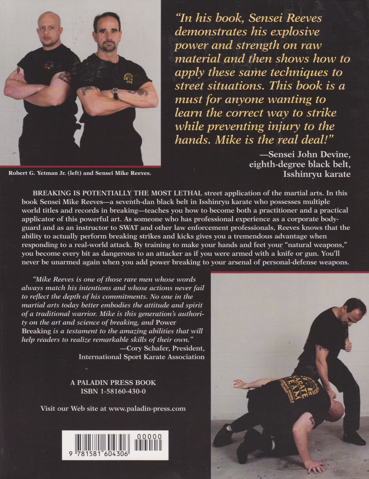 Power Breaking: How to Develop & Use Breaking Skills for Self Defense Book by Mike Reeves