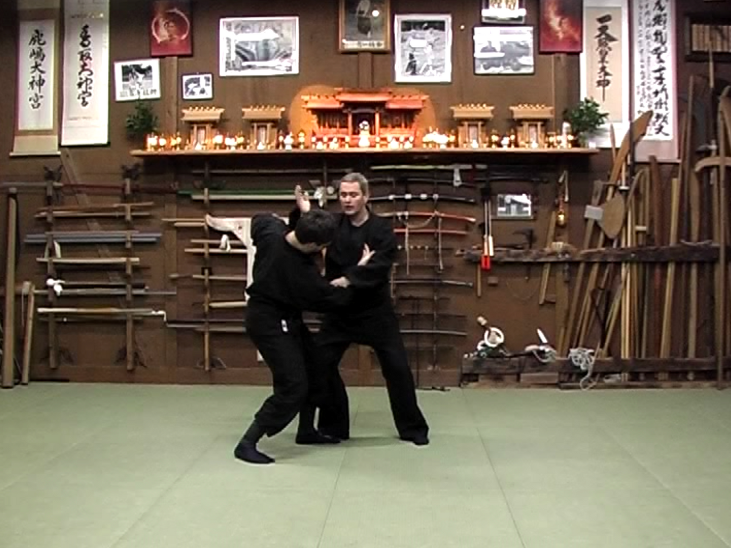 Kihon Happo Bujinkan Budo Basics DVD by Lubos Pokorny (Preowned)