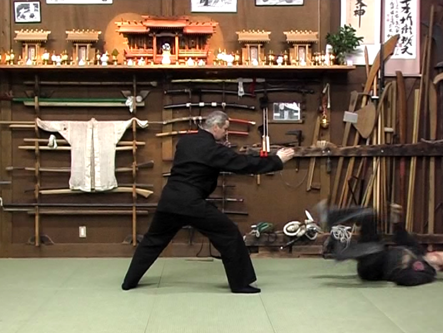 Kihon Happo Bujinkan Budo Basics DVD by Lubos Pokorny (Preowned)